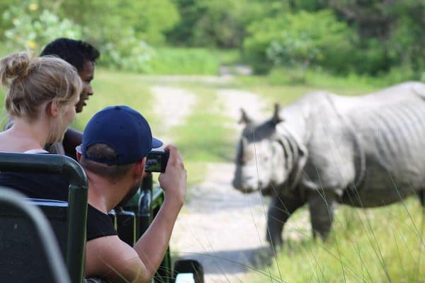 Tan - rhino - nepal