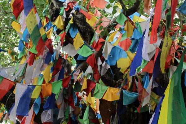 Tan - flags - nepal