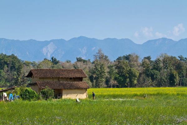 Bardiya Homestay Excursion Off Season Adventures