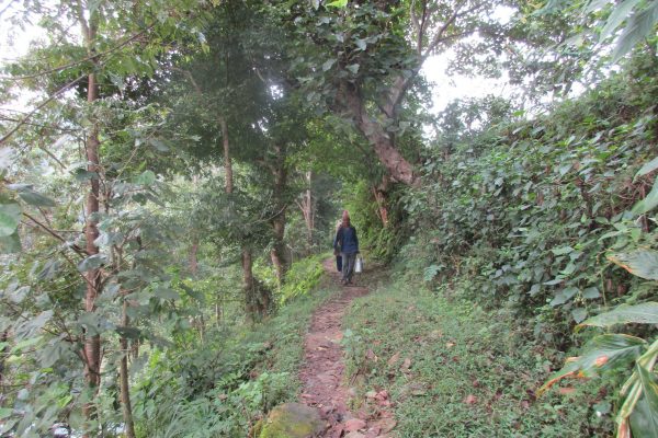 Sab - trek - nepal