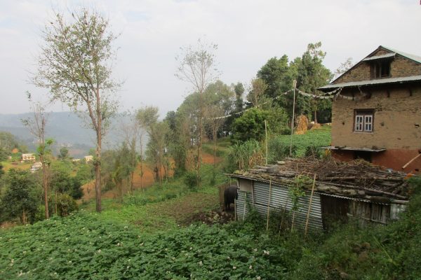 Sab - houses - nepal