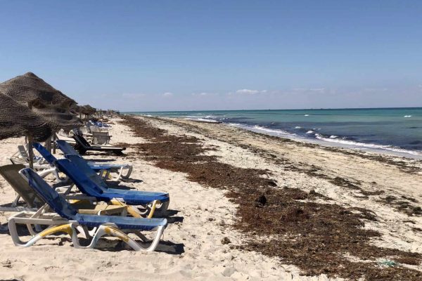 Tan - beach tunisia