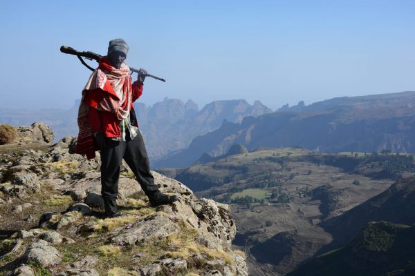 Tan - simien fam - ethiopia