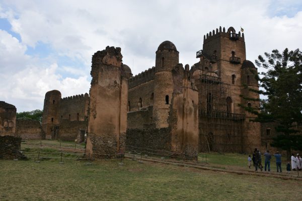 Tan - gondar fam - ethiopia