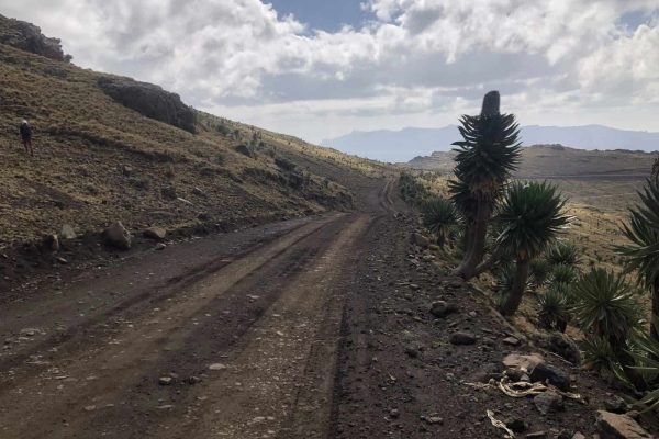 Tan - Simien - Ethiopia