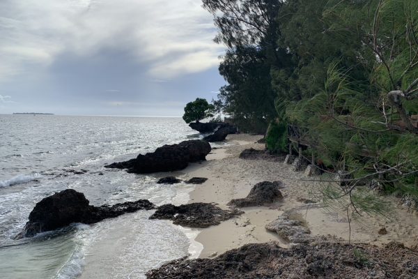 Em - beach - zanzibar