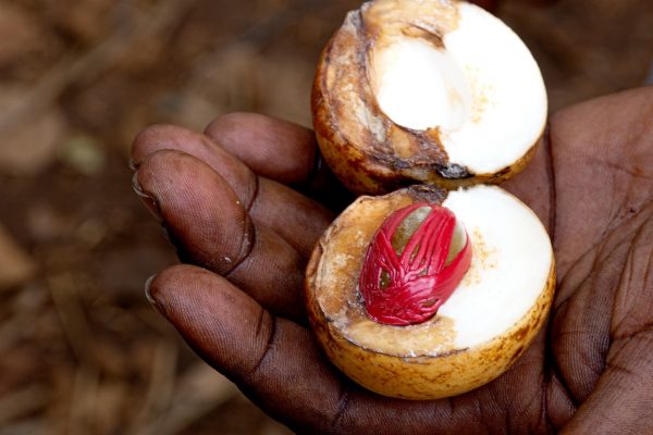 Pix - spices- zanzibar