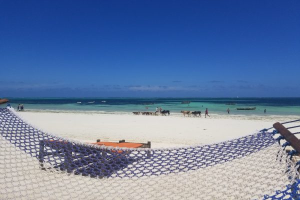 Em - zanzibar beach