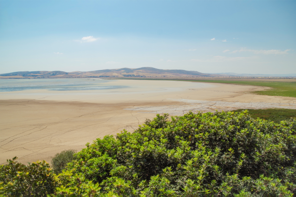 Can -ichkeul - tunisia