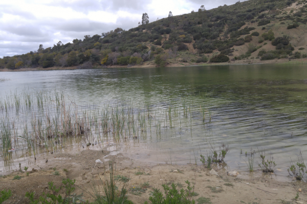 Can - natl park Tunisia