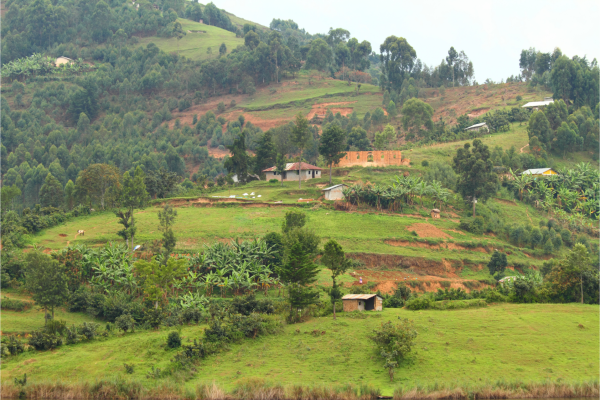 Can - rural uganda