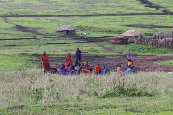 Tan - ngo mas - tanzania