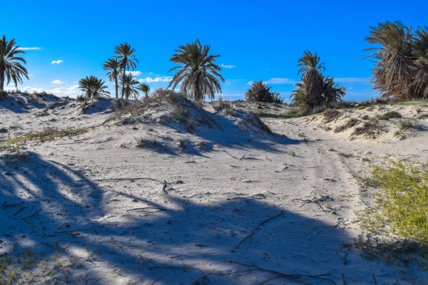 Can - djerba beach- tunisia