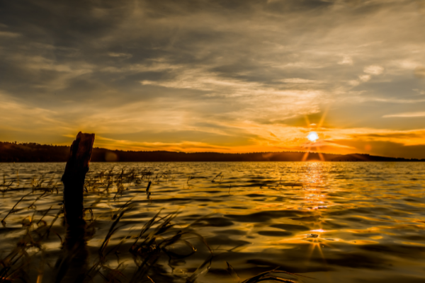 Can - lake vic- uganda