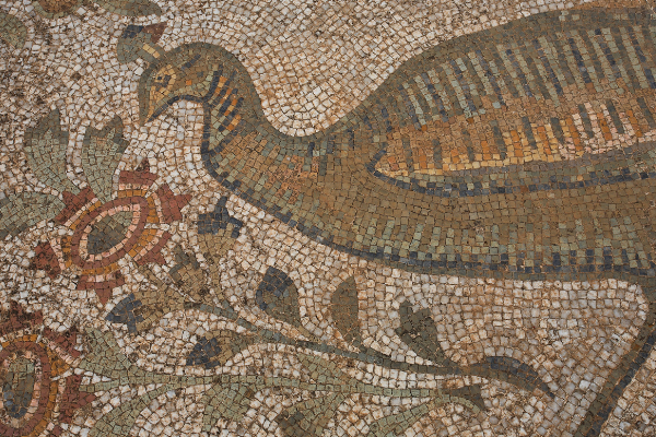 Can - mosaic- tunisia